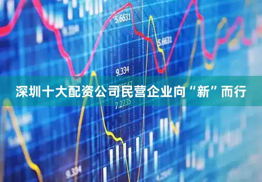 深圳十大配资公司民营企业向“新”而行