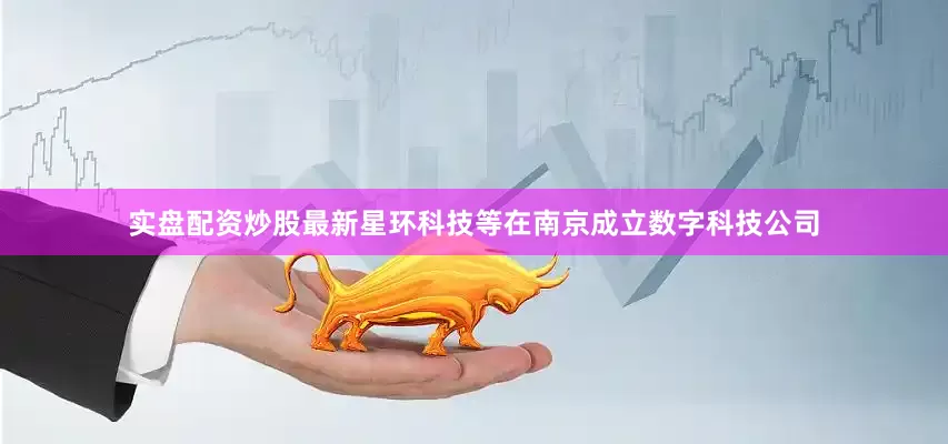 实盘配资炒股最新星环科技等在南京成立数字科技公司